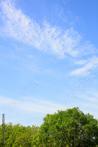 Blue sky and white clouds and green trees