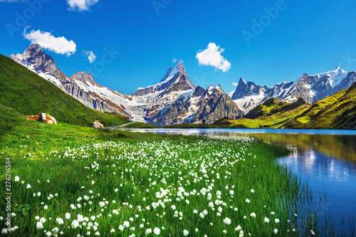 Scenic view on Bernese range above Bachalpsee lake. Popular tourist attraction. Location place Swiss alps, Grindelwald valley, Europe. 