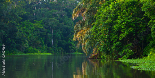 Tortuguero River, Tortuguero National Park, Costa Rica, Central America, America
