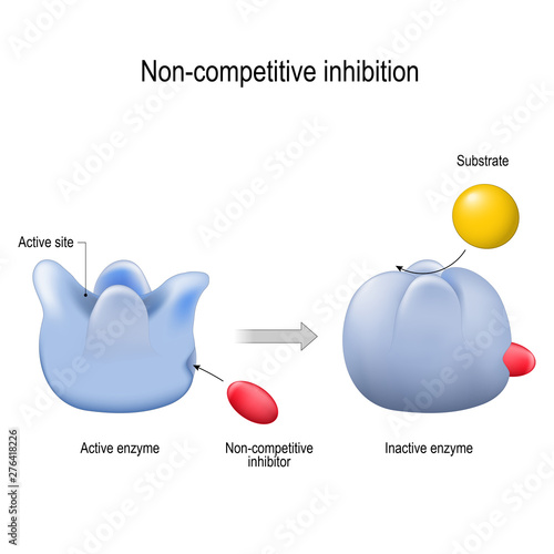 enzyme. Non-competitive inhibition. inhibitor is a molecule
