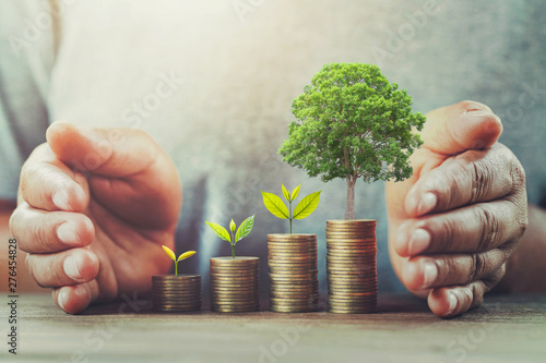 businessman protection money on table with tree. concept saving