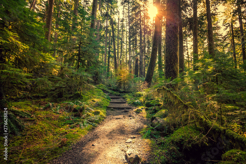 Olympic National Forest, Olympic National Park