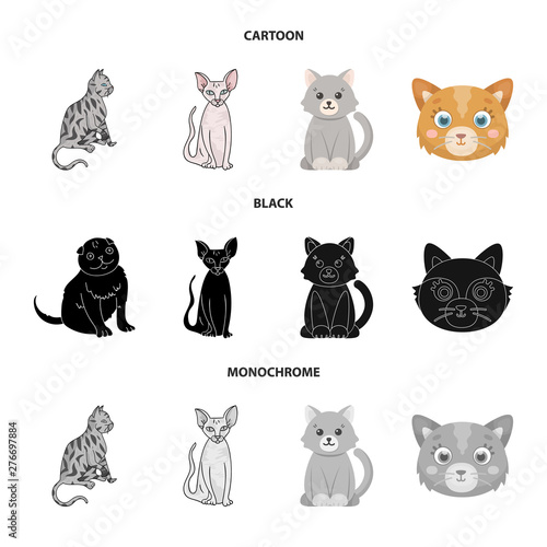 Vector illustration of pet and sphynx symbol. Set of pet and fun vector icon for stock.