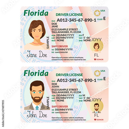 Vector template of sample driver license plastic card for USA Florida
