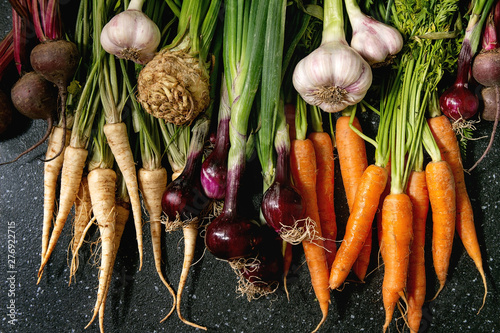 Variety of root garden vegetables carrot, garlic, purple onion, beetroot, parsnip and celery with tops over black texture background. Flat lay, space