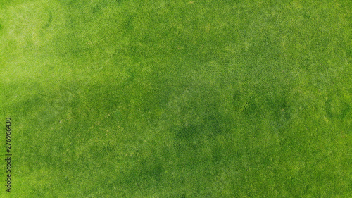 Aerial. Green grass texture background. Top view from drone.