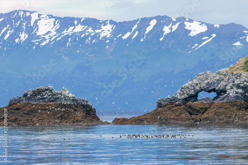 View from the sea of rock formation and snow-capped mountains
