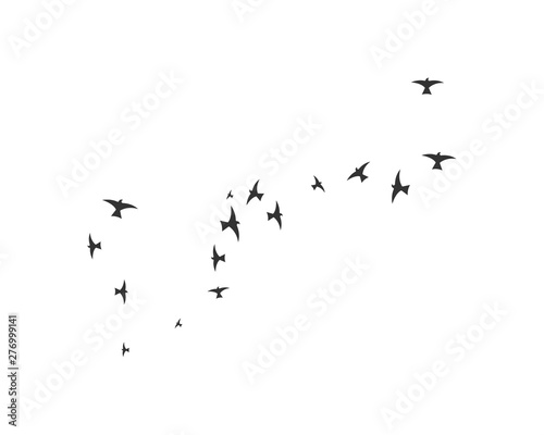 Bird Logo Template vector illustration