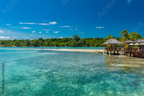 Palm trees on a tropical beach, Vanuatu, Erakor Island, Efate