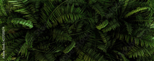 3d background illustration of green fern leaves