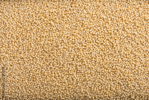 Proso millet (Panicum miliaceum) closeup