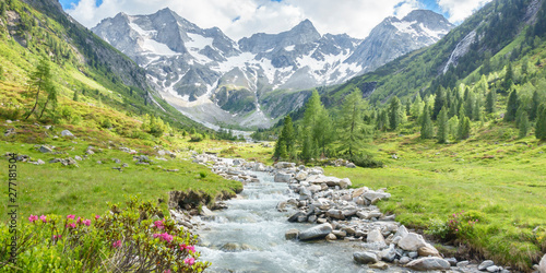 Panorama eines Wandergebietes in den Alpen mit Wildbach und Gletscher im Hintergrund