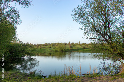 a small pond in a village with green shores and trees, and clean water. Ecologically clean zone.