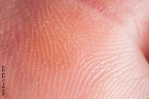 Corn in human hand close up, macro