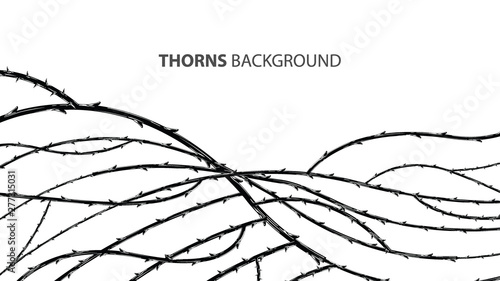 Blackthorn branches with thorns stylish background.