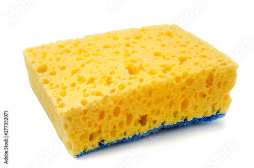 yellow sponge