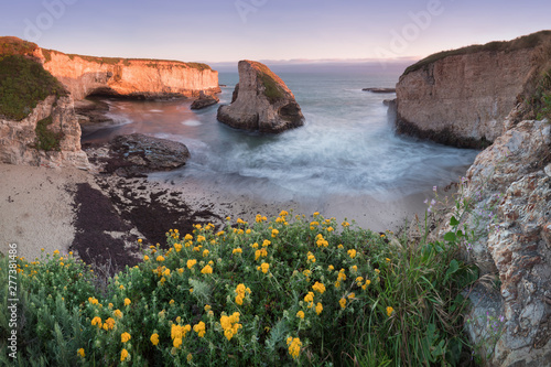 Panoramic view over Shark Fin Cove (Shark Tooth Beach). Davenport, Santa Cruz County, California, USA. Sunset in California - waves and sun hitting these beautiful rock formations with flowers.