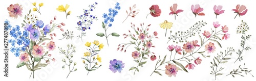 Field flowers. Watercolor illustration. Botanical collection of wild and garden plants. Set: different wild flowers, pink, blue, yellow, leaves, bouquets,branches, herbs and other natural elements.