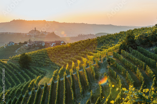 Langhe Region, vineyards at sunset. Serralunga d'Alba, Piedmont, Italy