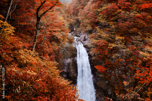 Famous Akiu Waterfall in Akiu Osen with vibrant red autumn forest, Sendai - Japan