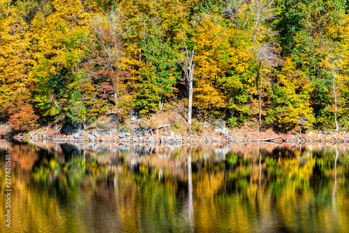 Great Falls trees reflection in canal lake river during autumn in Maryland colorful yellow orange leaves foliage by famous Billy Goat Trail