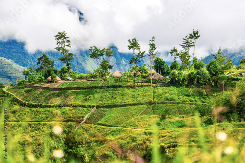 papua huts in baliem valley