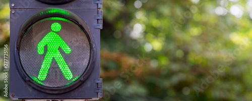 Traffic light with green light on the background of trees_