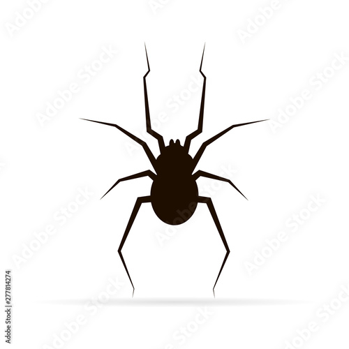 Black silhouette spider. Spider icon, Isolated. Spider logo template. Halloween symbol. Black tattoo design.