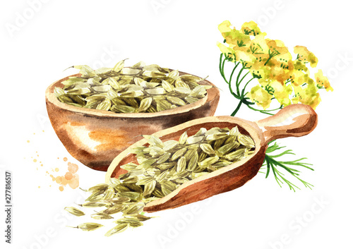 Dried fennel seeds with fennel flower. Watercolor hand drawn illustration isolated on white background