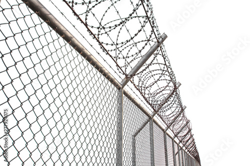 Texture the cage metal net isolate on white background. fence with barbed wire