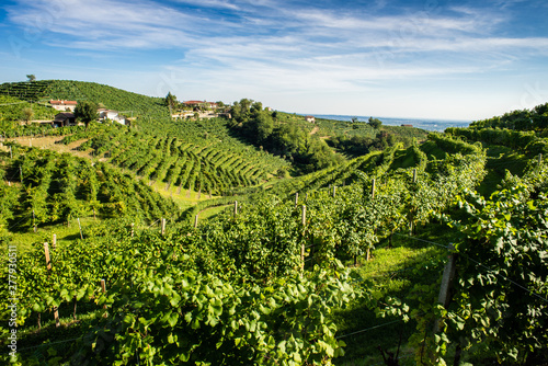 Conegliano e Valdobbiadene, la strada del Prosecco, patrimonio Unesco