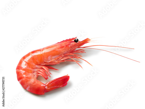gamba langostino sobre fondo blanco, vista cenital. raw fresh shrimp