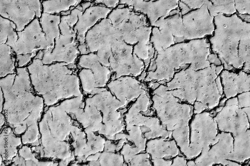 texture of cracked white paint. texture of cracked plaster.