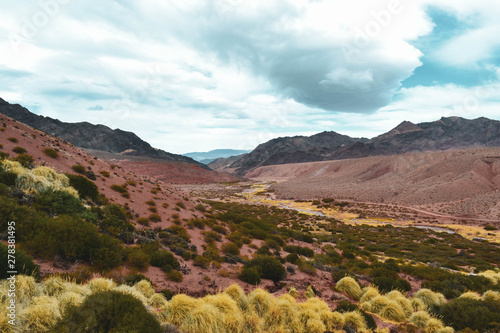 vista desde las montañas con vegetacion