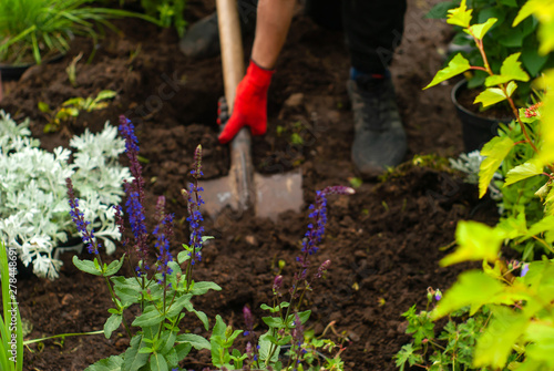 gardening, shoveling land