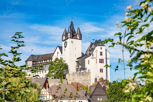 view to Diez Castle with tree in foreground