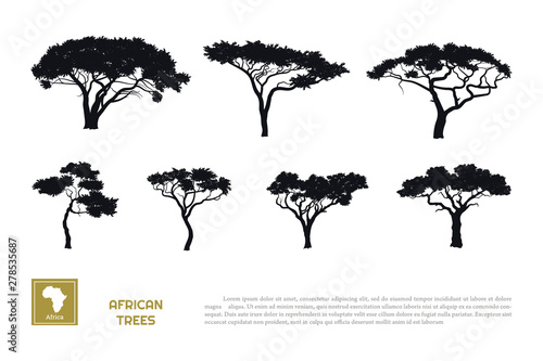 Black silhouettes of african trees on white background. Isolated image of savannah nature. Forest landscape of Africa. Acacia icons