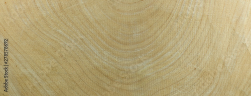 Annual ring tamarind wood