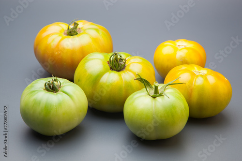 Tomates verdes, recién traidos del huerto. Hay personas que les gustan los tomates verdes. Tomate verde saludable, madurará fuera de la planta, quizás le afecte al sabor y a la calidad final del produ