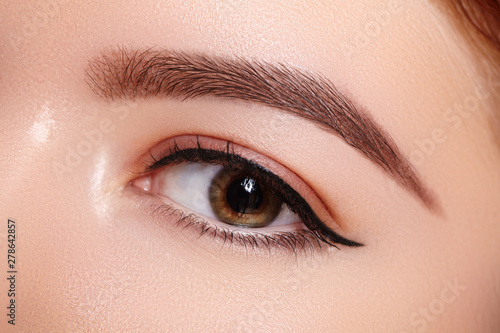 Beautiful Macro Shot of Female Eye with Classic Eyeliner Makeup. Perfect shape of eyebrows. Cosmetics and make-up