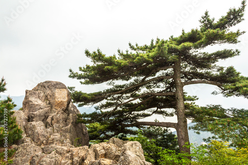 Natural landscape of mountain Huangshan scenery. Located in southern Anhui province in eastern China. It is a UNESCO World Heritage Site.