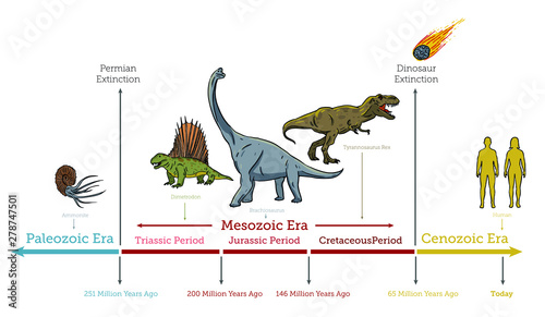 Dinosaurs Extinction infographic diagram showing paleozoic mesozoic cenozoic eras and dinosaurs periods including triassic jurassic cretaceous million years ago for geology science education - Vector