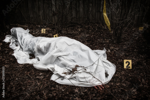 Victim of a violent crime under a sheet in a rural yard. With evidence markers.