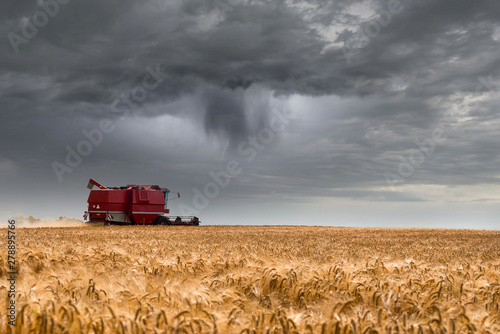 finish the harvest before the storm arrives