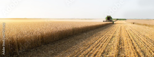 Harvester at work in summer sun