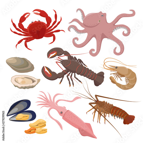 Seafood set of vector illustrations in flat design isolated on white background. Vector icons mussel, shrimp, squid, octopus, lobster, crab, mollusk, oyster -fresh sea food.