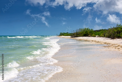Tropical beaches on Gulf of Mexico, Florida