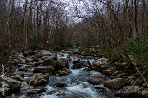 Cascading mountain stream in Great Smoky Mountains National Park