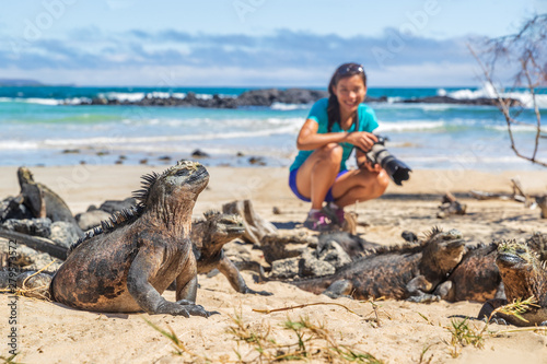 Ecotourism tourist photographer taking wildlife photos on Galapagos Islands of famous marine iguanas. Focus on marine iguana. Woman taking pictures on Isabela island in Puerto Villamil Beach.