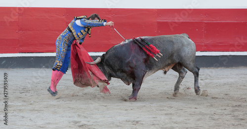 torero toreando un toro en plaza de toros